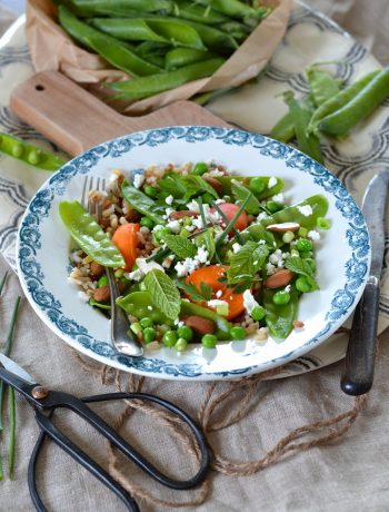 Salade de pois mange-tout, abricot et céréales