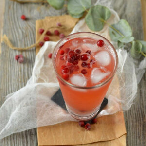 Detox Cranberry Lime Mocktail