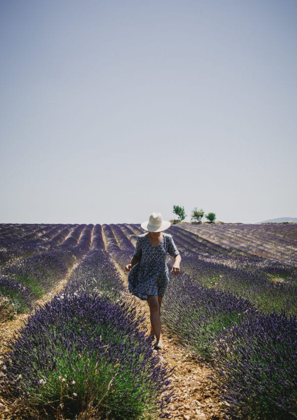 Escapade en Provence au pays de la lavande