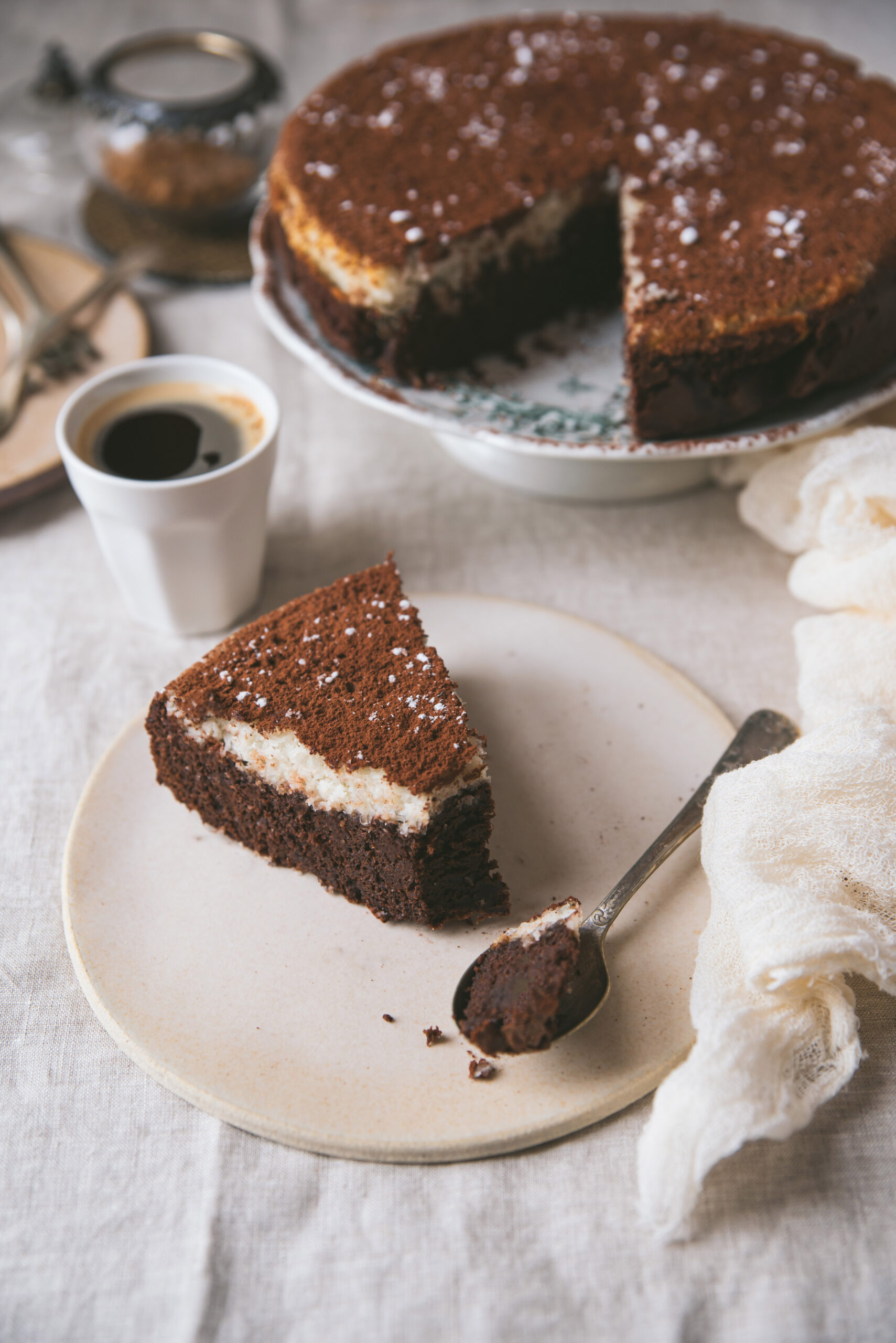 easy chocolate and coconut cake dessert recipe