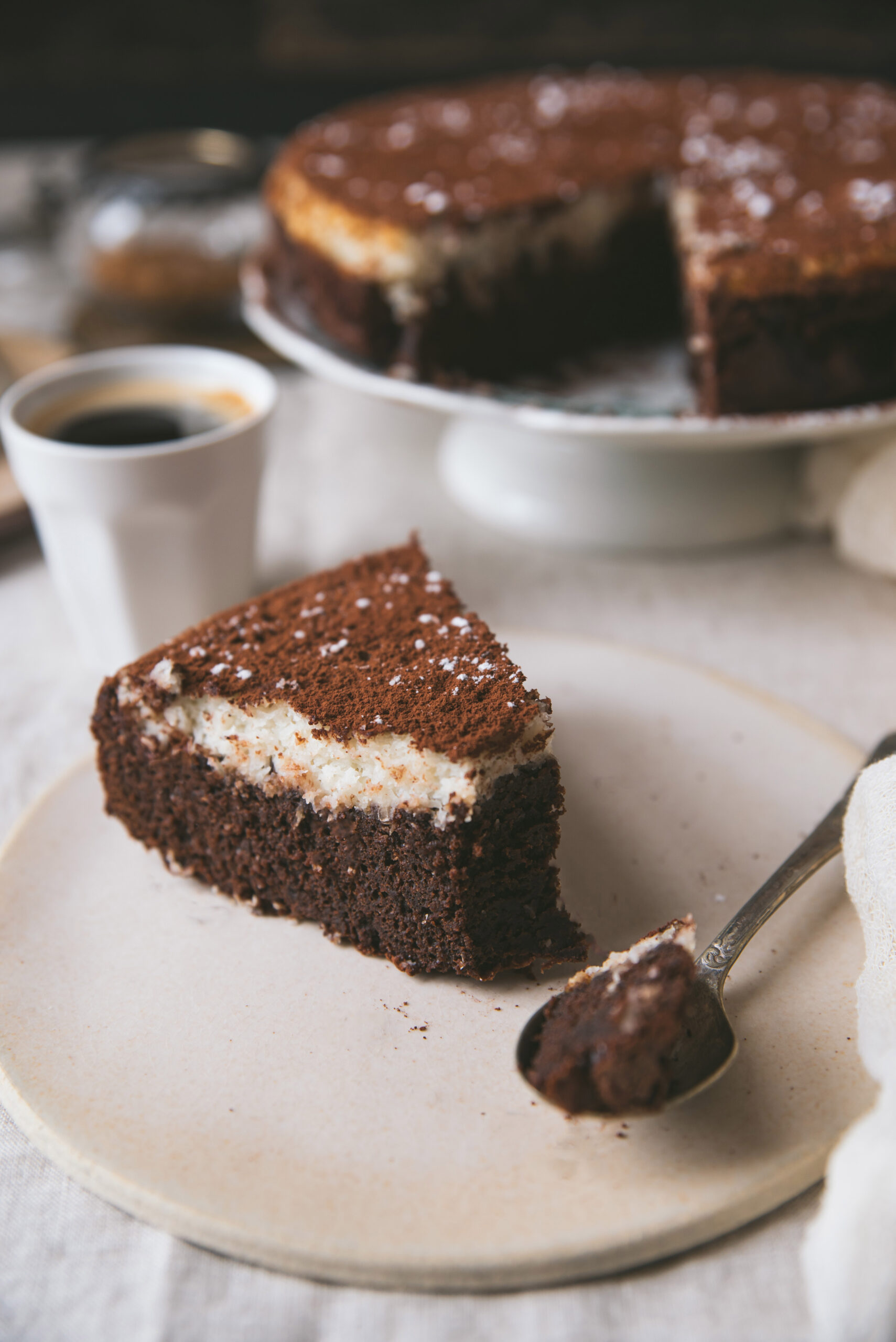Chocolate Coconut Layer Cake Recipe