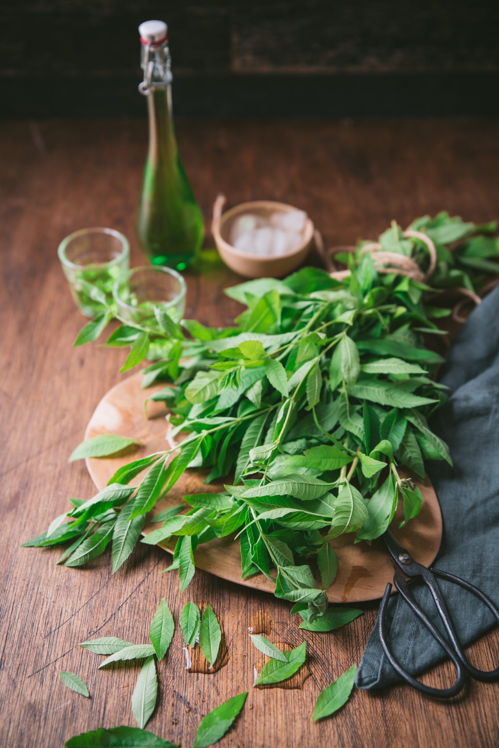 fresh verbena leaves