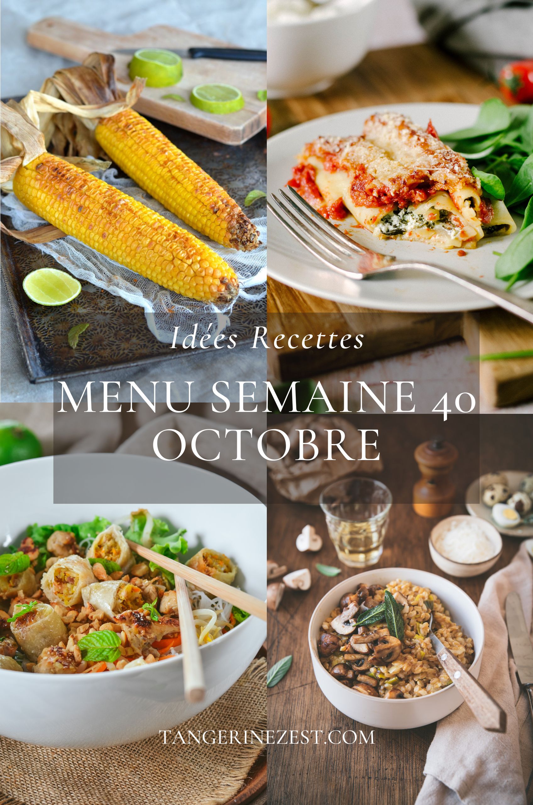 Idées recettes – Menu de la semaine 40 mois Octobre