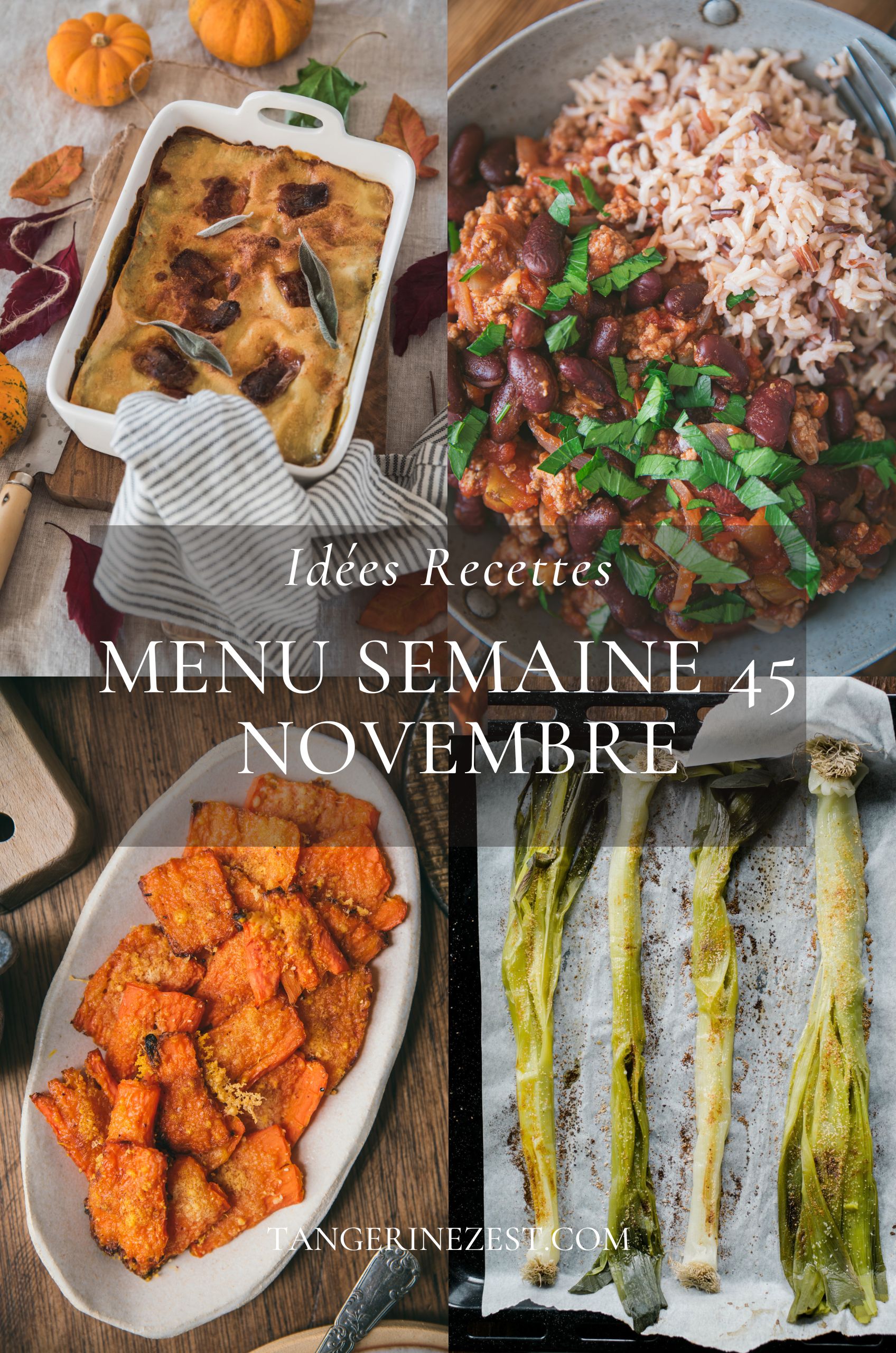 Idées recettes – Menu de la semaine 45 mois Novembre