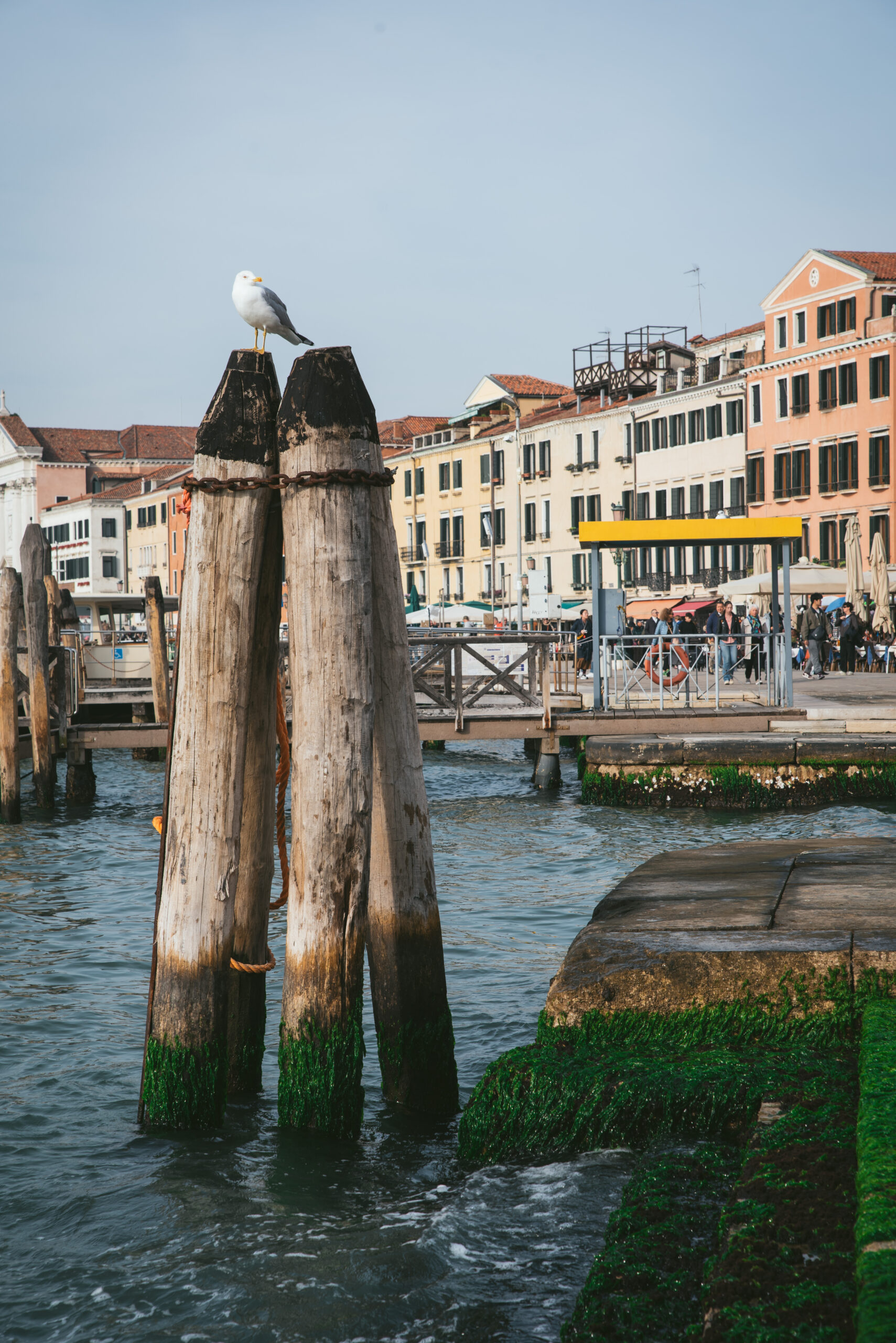 grand-canal- week-end venise
