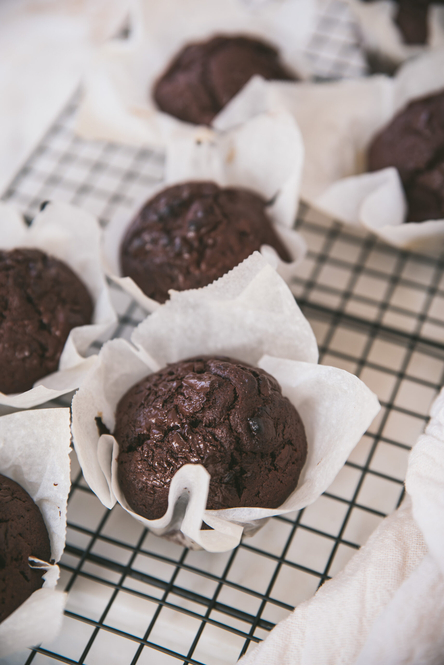 Soft Chocolate Muffins easy Recipe