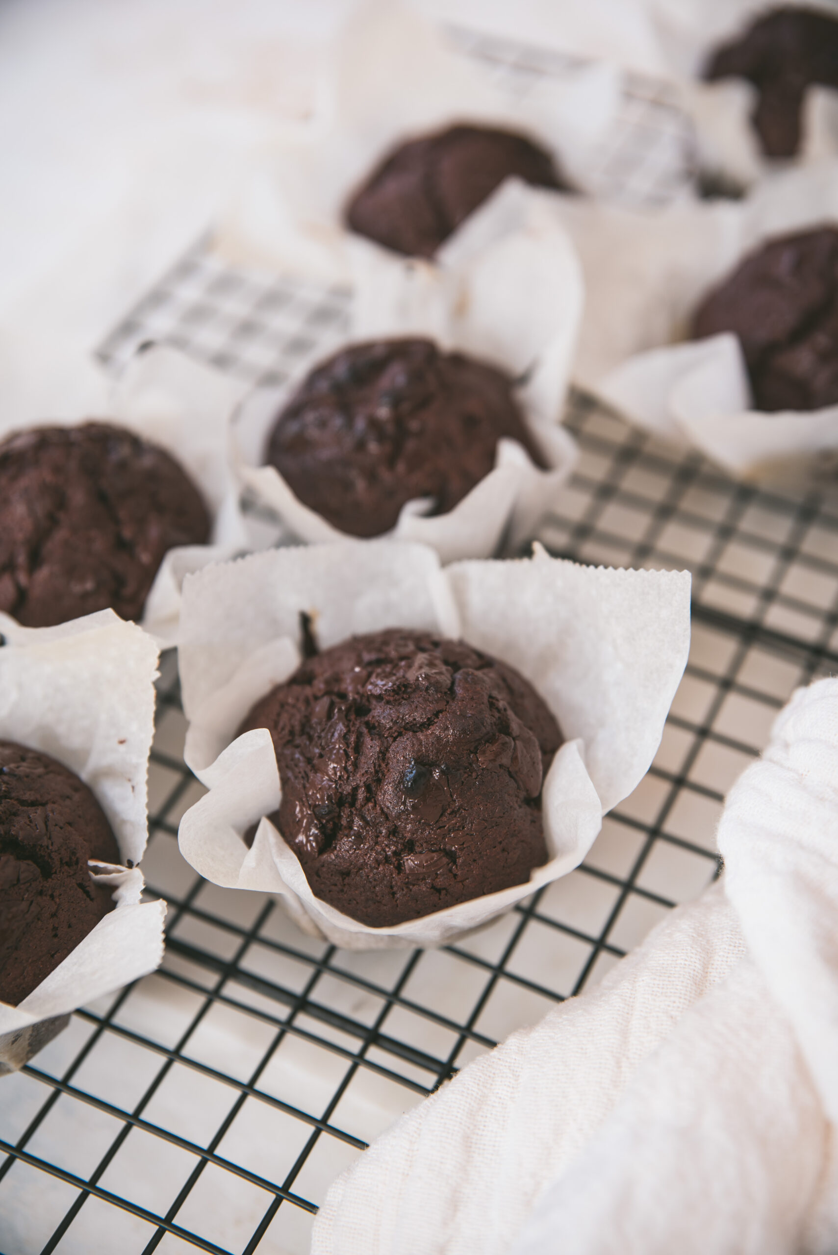 moist Chocolate Muffins easy Recipe