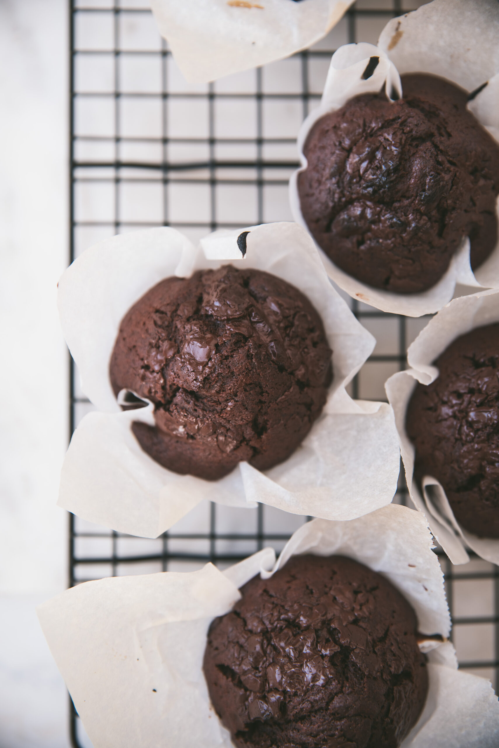 Soft Chocolate Muffins easy Recipe