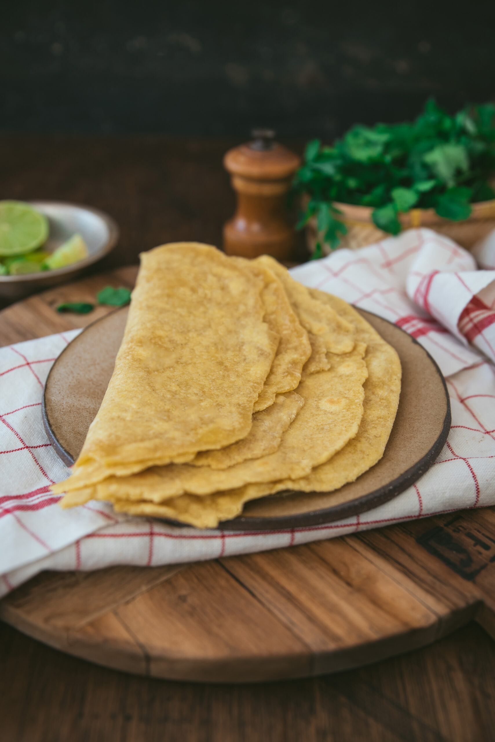 recette-tortillas-mais-maison