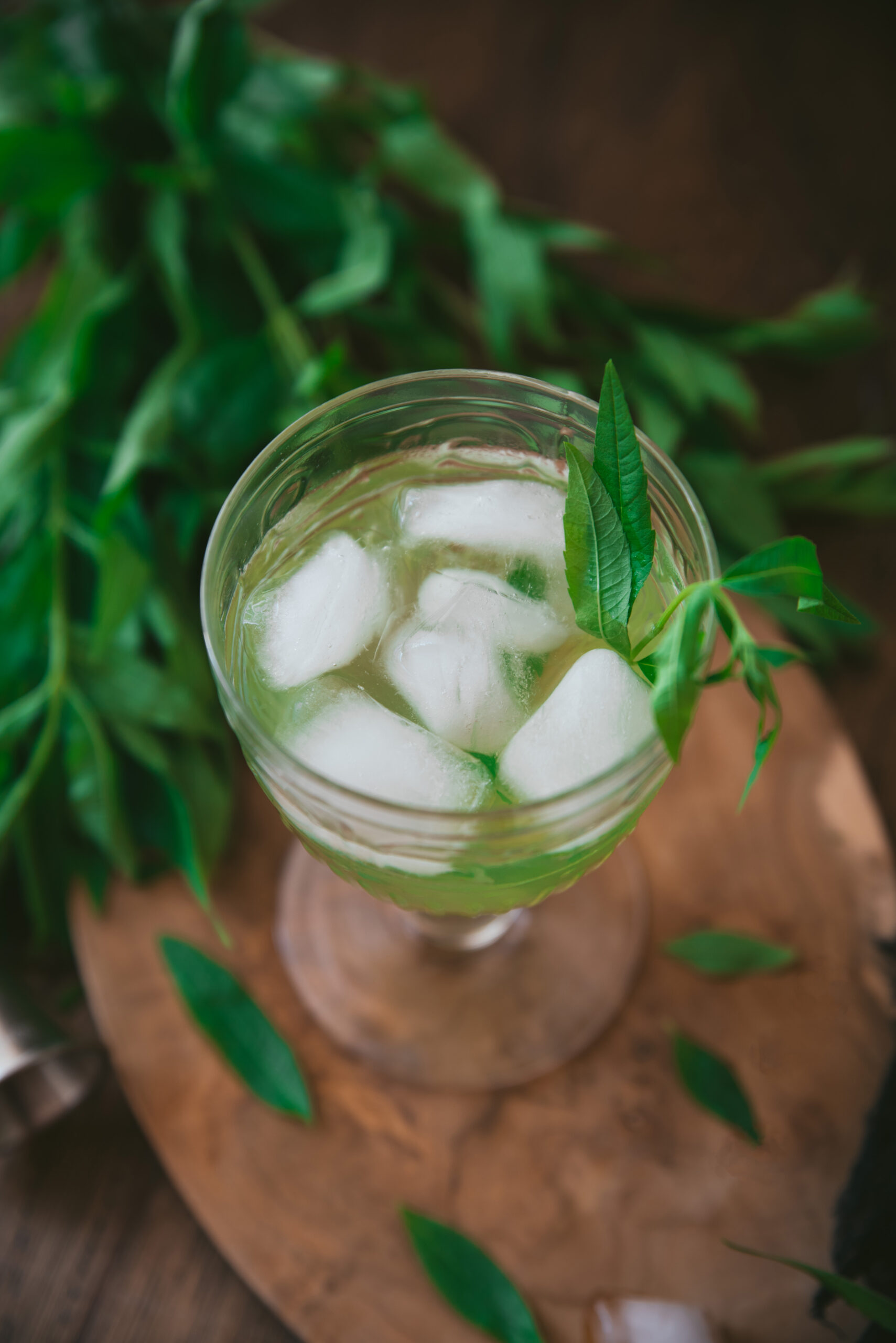 Verbena Cocktail recipe