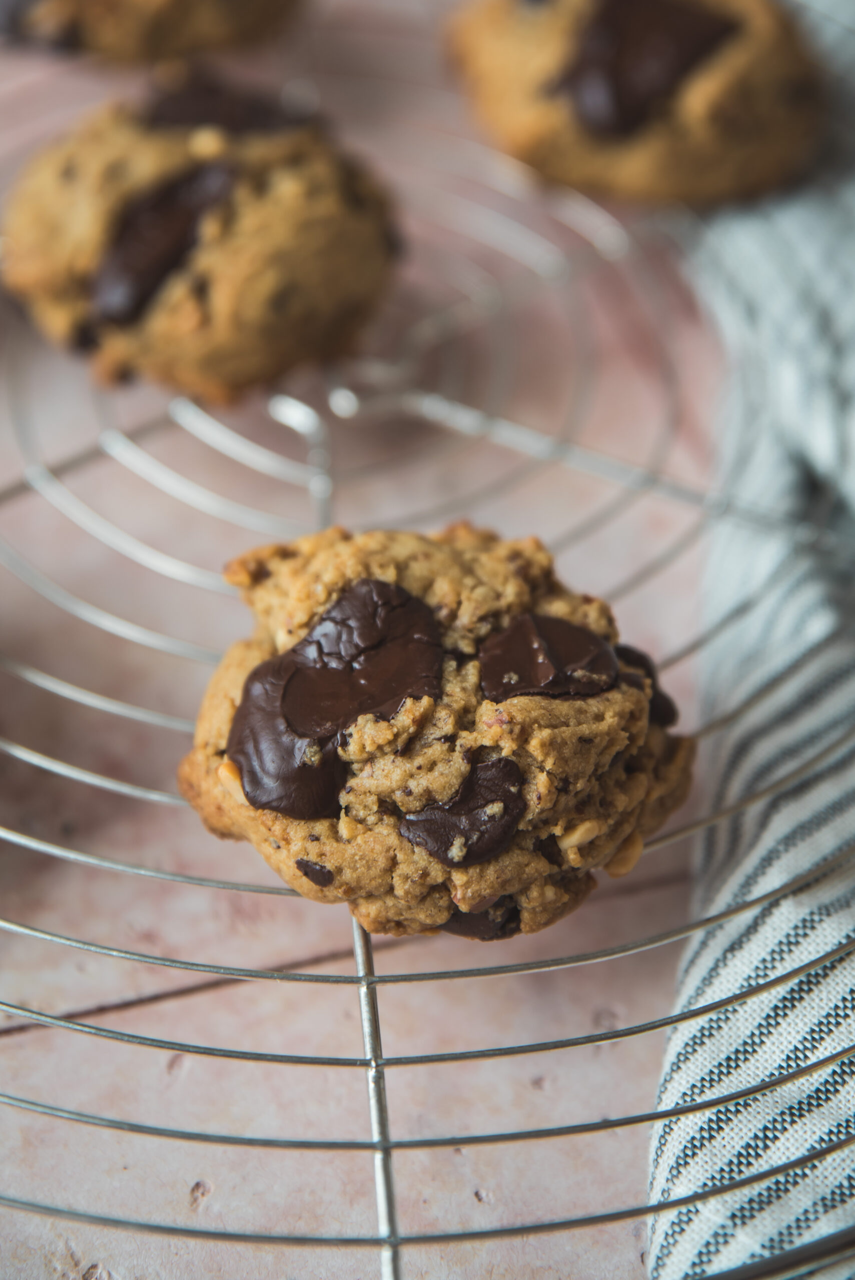 Peanut and Chocolate Cookies recipe