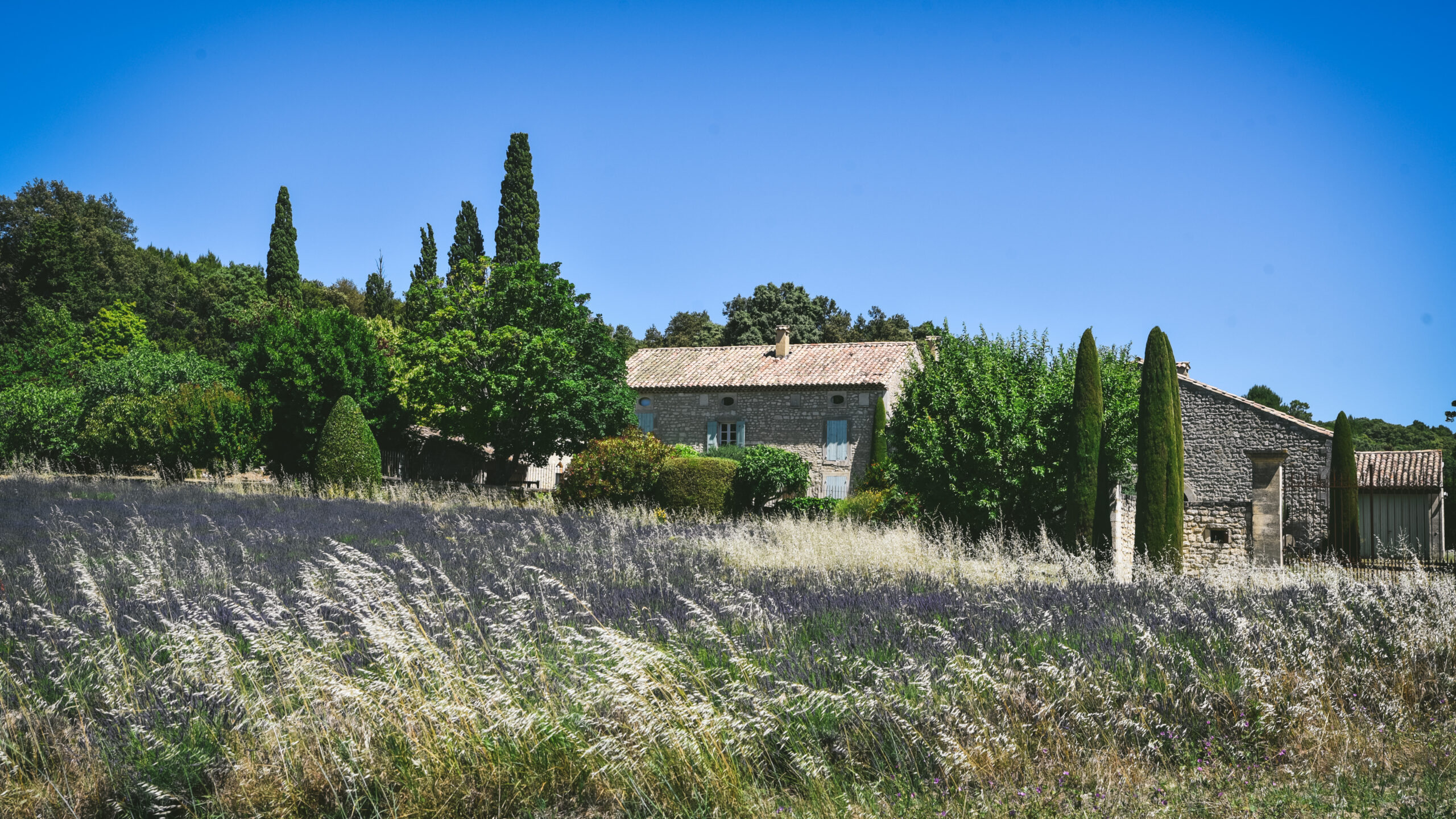 mas provencal lavande