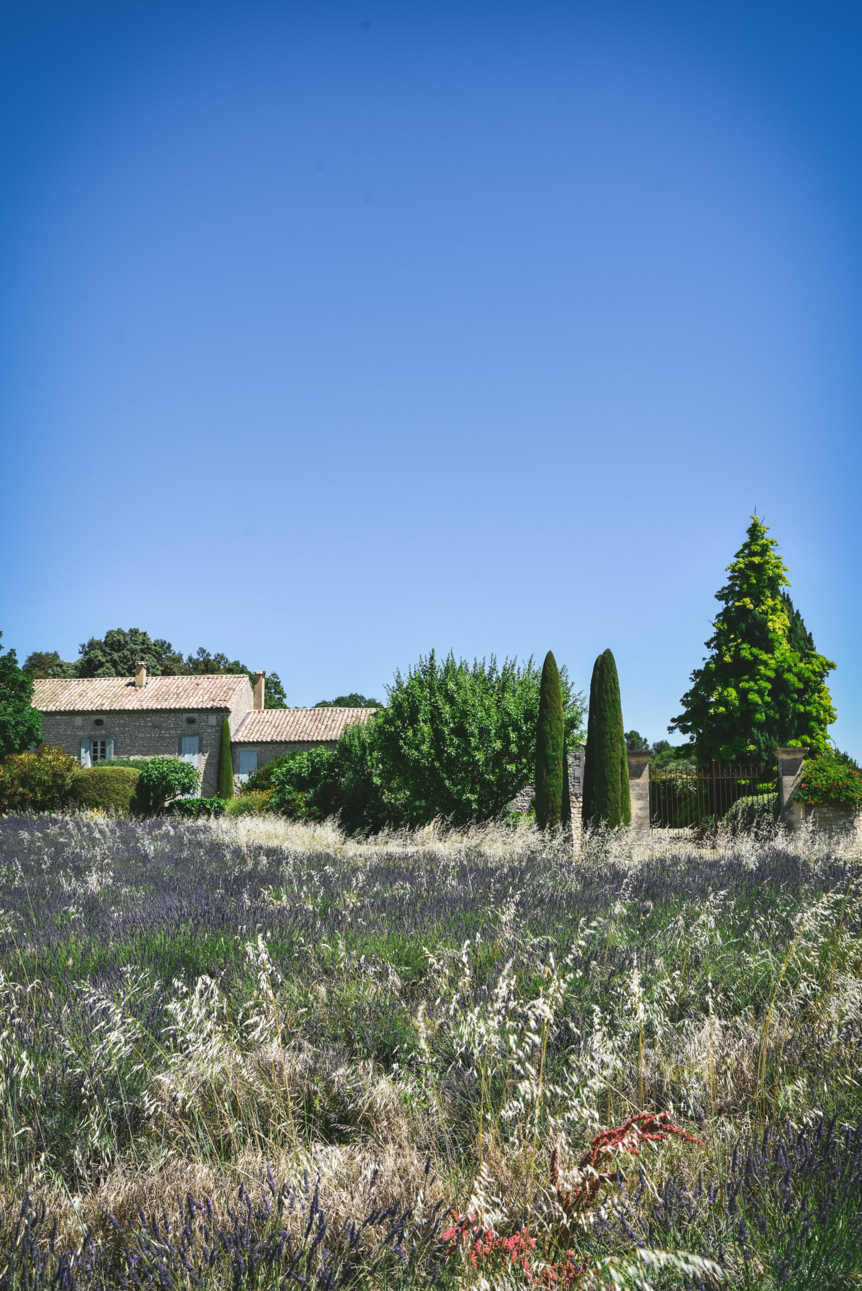 mas provencal lavandes
